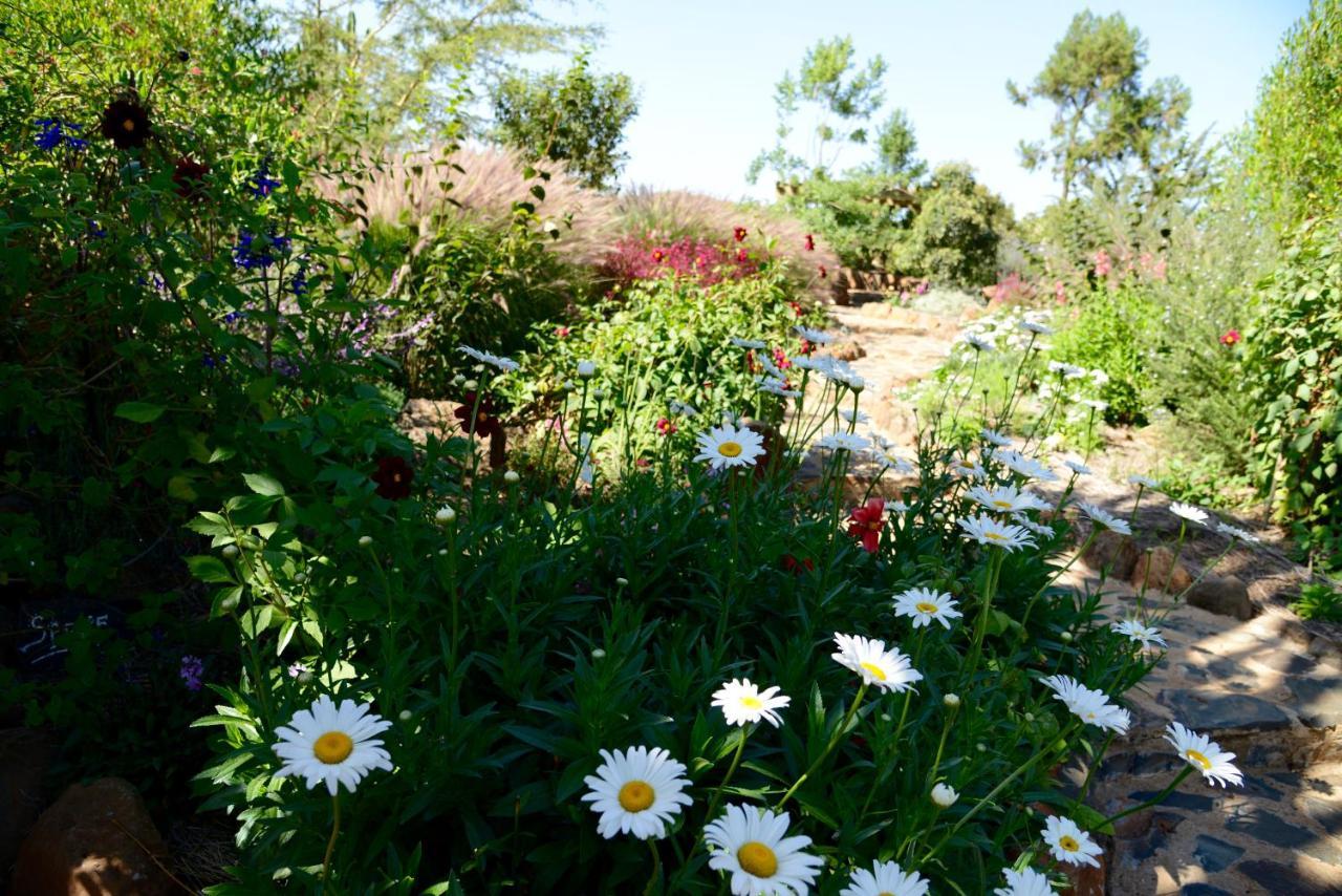 Villa Olepangi Farm Nanyuki Exterior foto