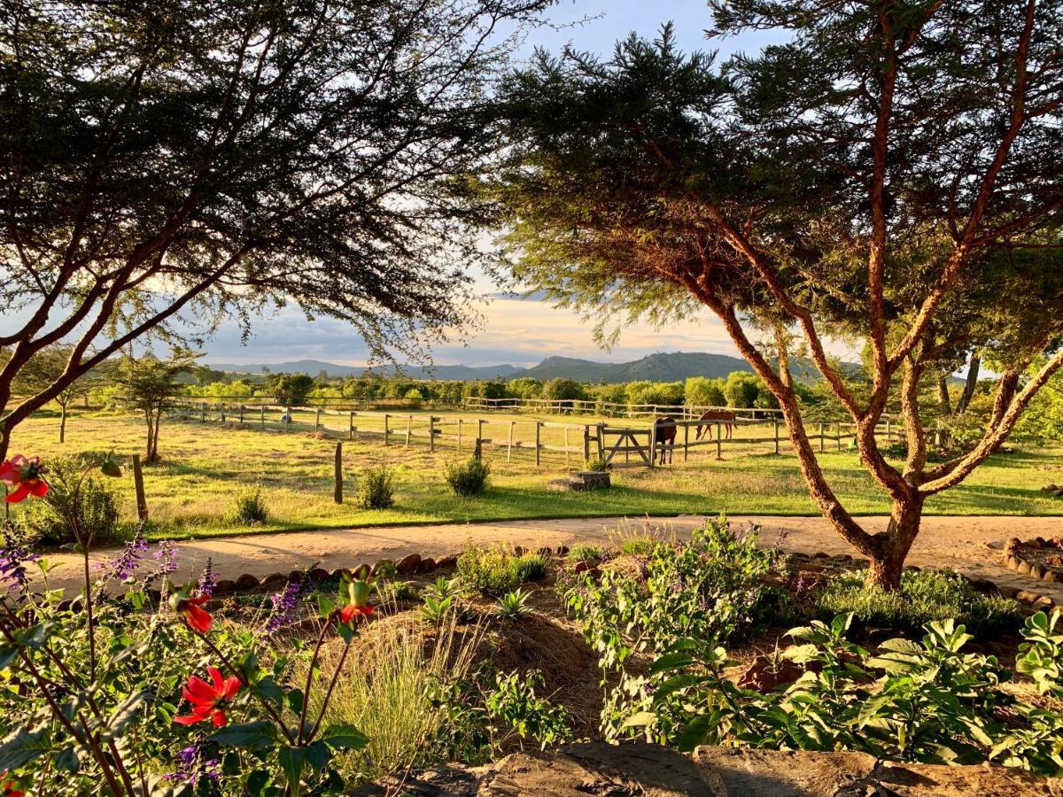 Villa Olepangi Farm Nanyuki Exterior foto