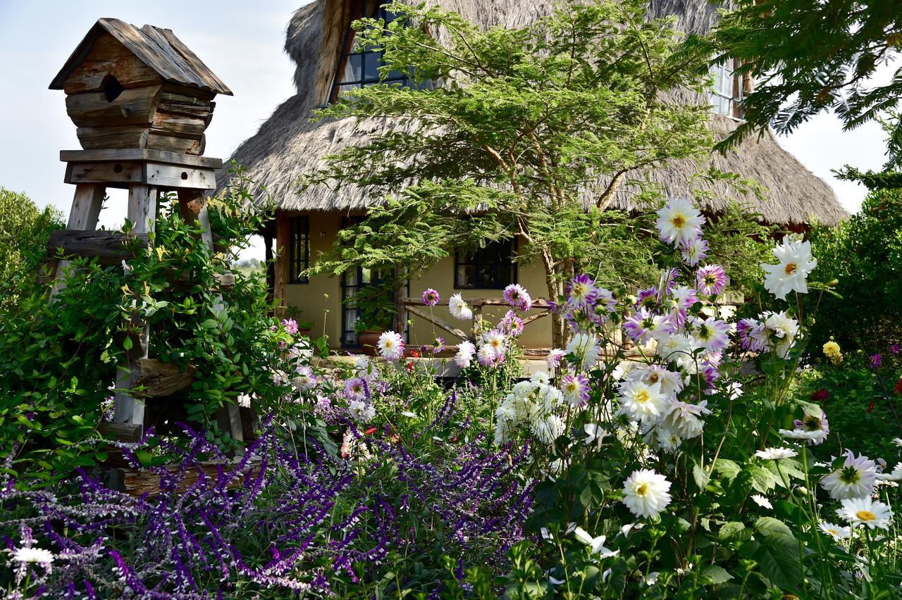 Villa Olepangi Farm Nanyuki Exterior foto